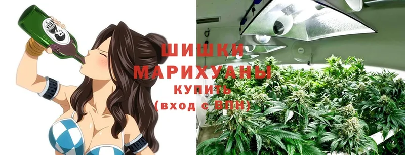 KRAKEN   Сасово  Шишки марихуана Ganja 